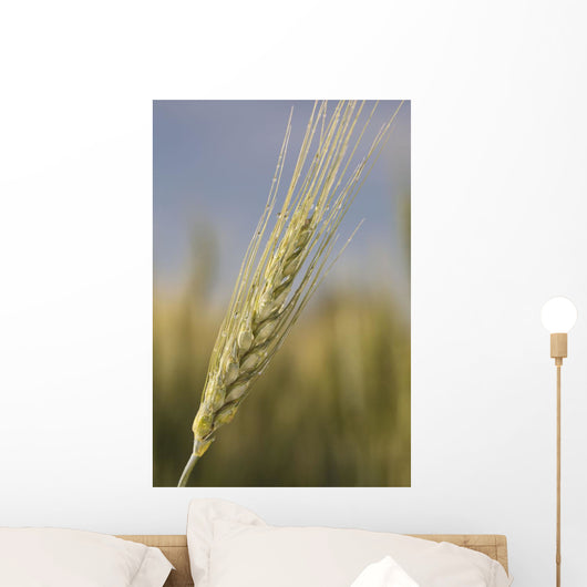 Up Green Wheat Head Wall Decal