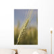 Up Green Wheat Head Wall Decal