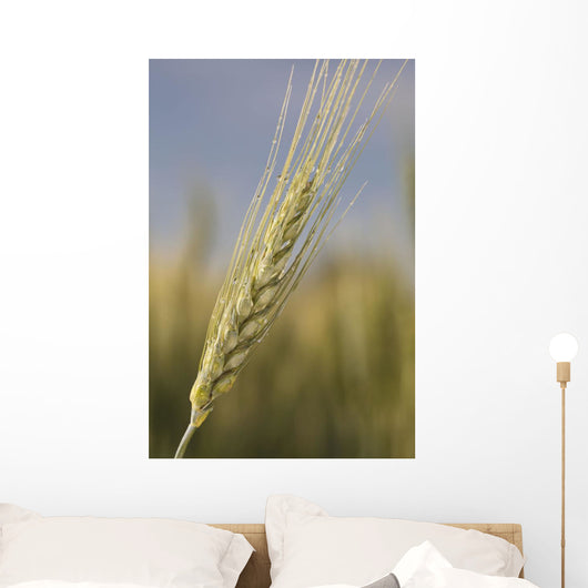 Up Green Wheat Head Wall Decal