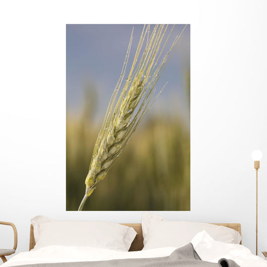 Up Green Wheat Head Wall Decal