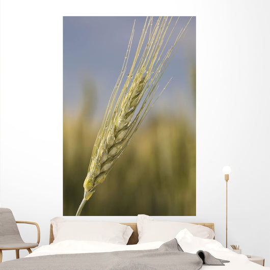 Up Green Wheat Head Wall Decal