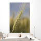 Up Green Wheat Head Wall Decal
