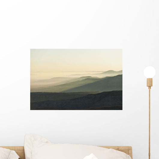 Silhouette Curves Wall Decal