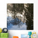Reflection Trees and Mountain Wall Decal