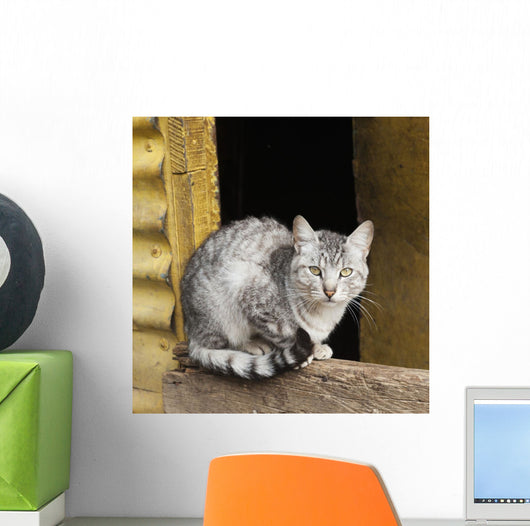 Cat Sits Wooden Beam Wall Decal