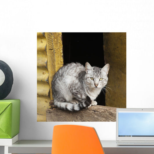Cat Sits Wooden Beam Wall Decal