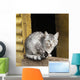 Cat Sits Wooden Beam Wall Decal