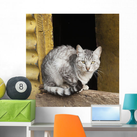 Cat Sits Wooden Beam Wall Decal