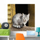 Cat Sits Wooden Beam Wall Decal