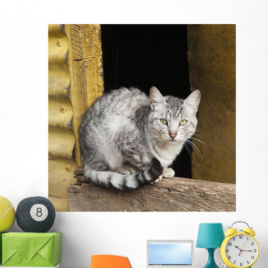 Cat Sits Wooden Beam Wall Decal
