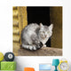 Cat Sits Wooden Beam Wall Decal