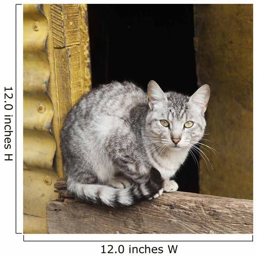 Cat Sits Wooden Beam Wall Decal