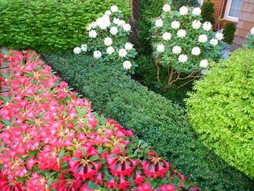 Garden Wall Decal Design 5