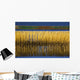 Close-up Mechanized Circular Brush Wall Decal