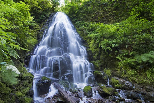 Waterfall with Lush Foliage Wall Decal