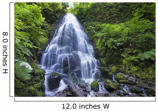Waterfall with Lush Foliage Wall Decal