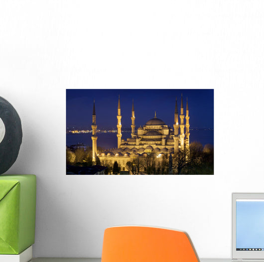Blue mosque Istanbul Wall Mural