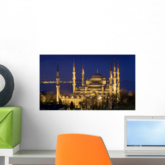 Blue mosque Istanbul Wall Mural