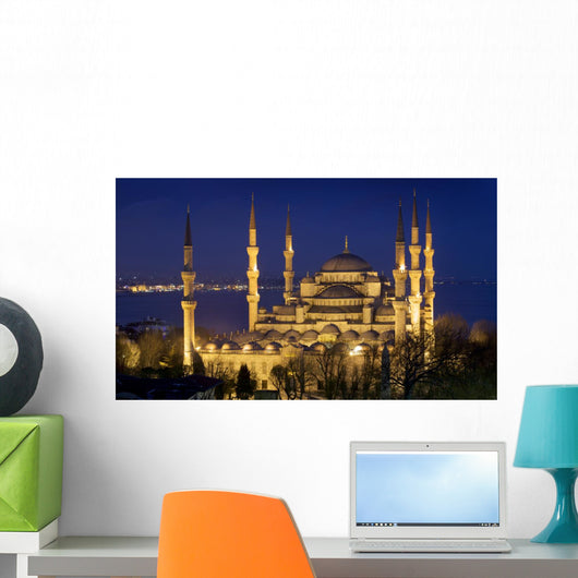 Blue mosque Istanbul Wall Mural