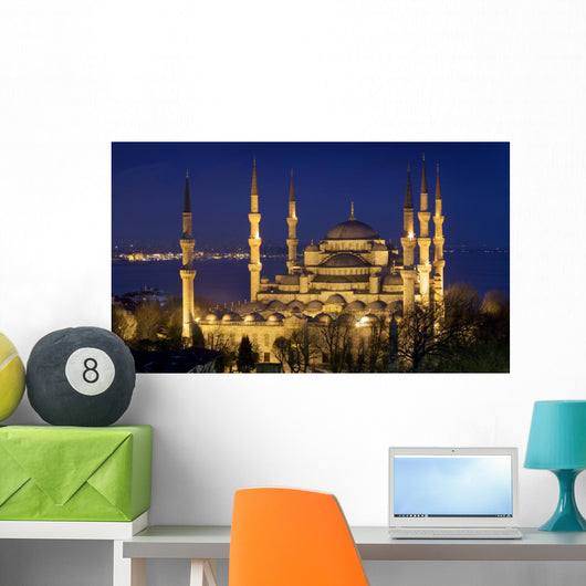 Blue mosque Istanbul Wall Mural