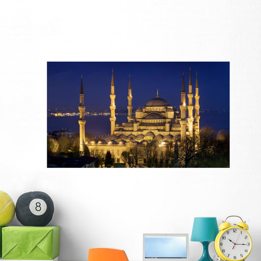 Blue mosque Istanbul Wall Mural