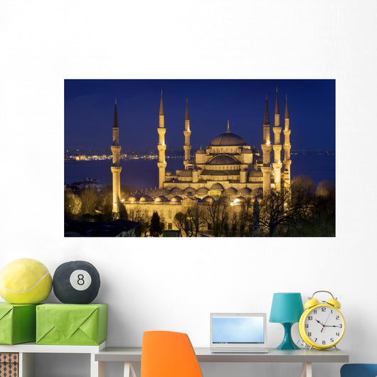 Blue mosque Istanbul Wall Mural