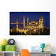 Blue mosque Istanbul Wall Mural