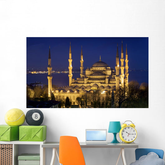 Blue mosque Istanbul Wall Mural