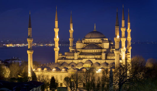 Blue mosque Istanbul Wall Mural
