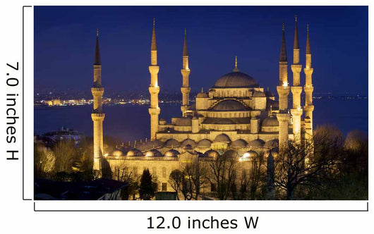 Blue mosque Istanbul Wall Mural