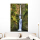 Full Height Multnomah Falls Wall Decal