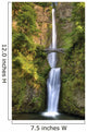 Full Height Multnomah Falls Wall Decal