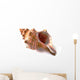 Shell Wall Decal