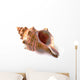 Shell Wall Decal