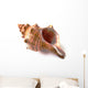 Shell Wall Decal