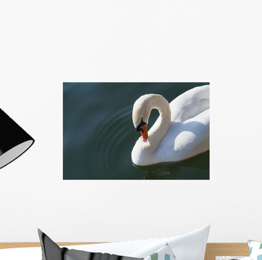 High Angle up Swan Wall Decal