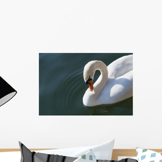 High Angle up Swan Wall Decal