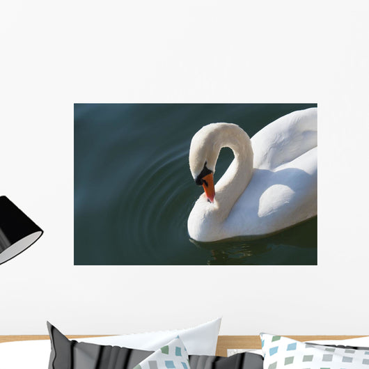 High Angle up Swan Wall Decal