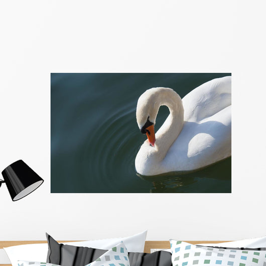 High Angle up Swan Wall Decal