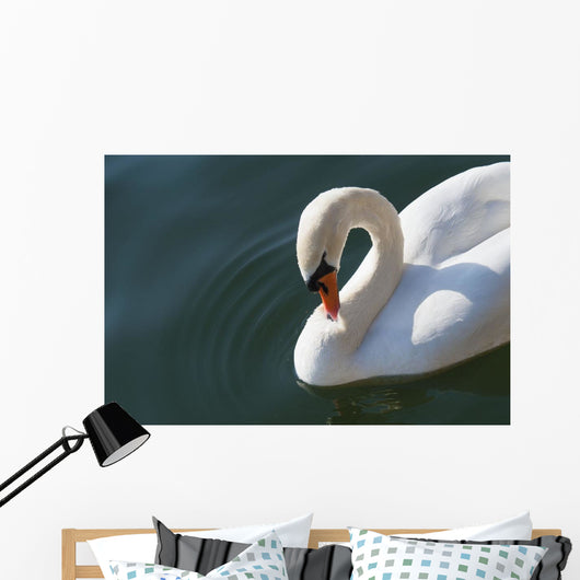 High Angle up Swan Wall Decal