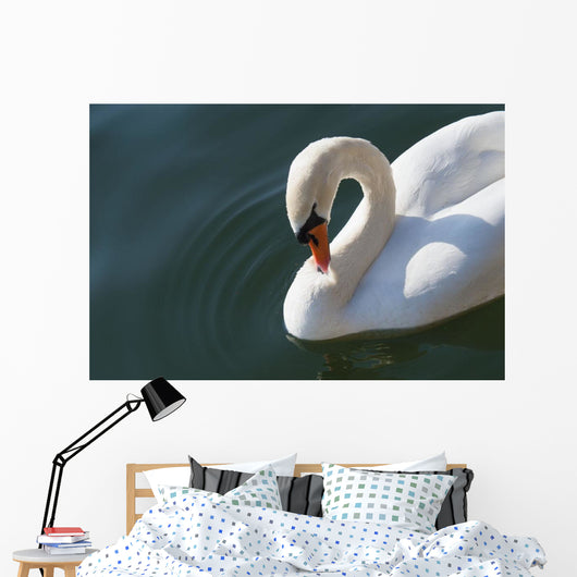 High Angle up Swan Wall Decal