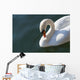 High Angle up Swan Wall Decal