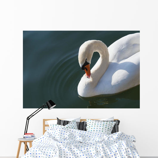 High Angle up Swan Wall Decal