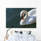 High Angle up Swan Wall Decal