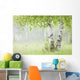 Birch Trees Fog Thunder Wall Decal 1