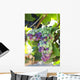 South Africa Scenes Constantia Wall Decal