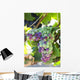 South Africa Scenes Constantia Wall Decal