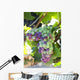 South Africa Scenes Constantia Wall Decal