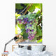 South Africa Scenes Constantia Wall Decal