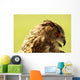 Owl Owl Wall Mural